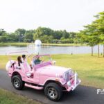 538069285 24295980740061728 7145705140464907508 n