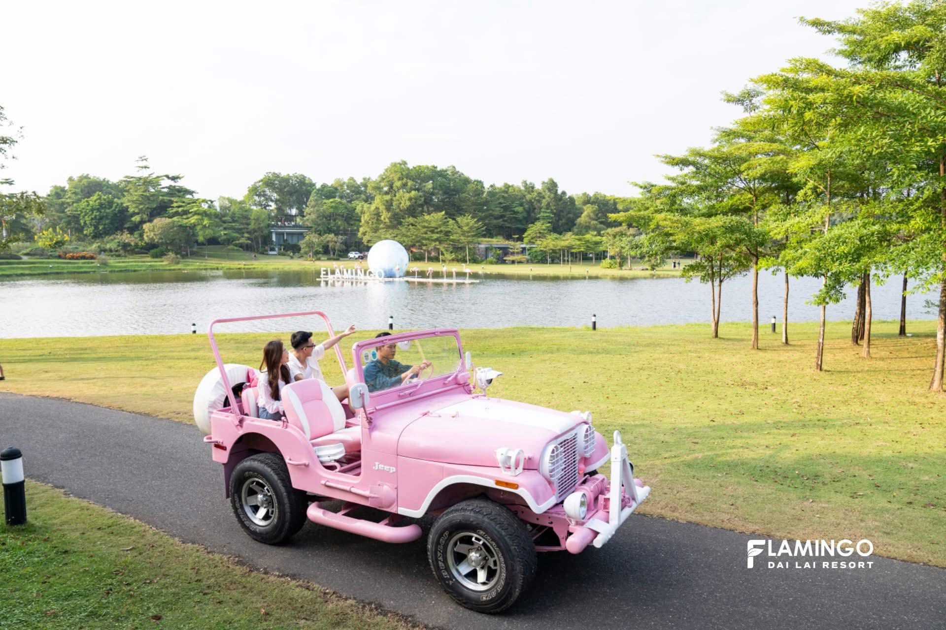 538069285 24295980740061728 7145705140464907508 n