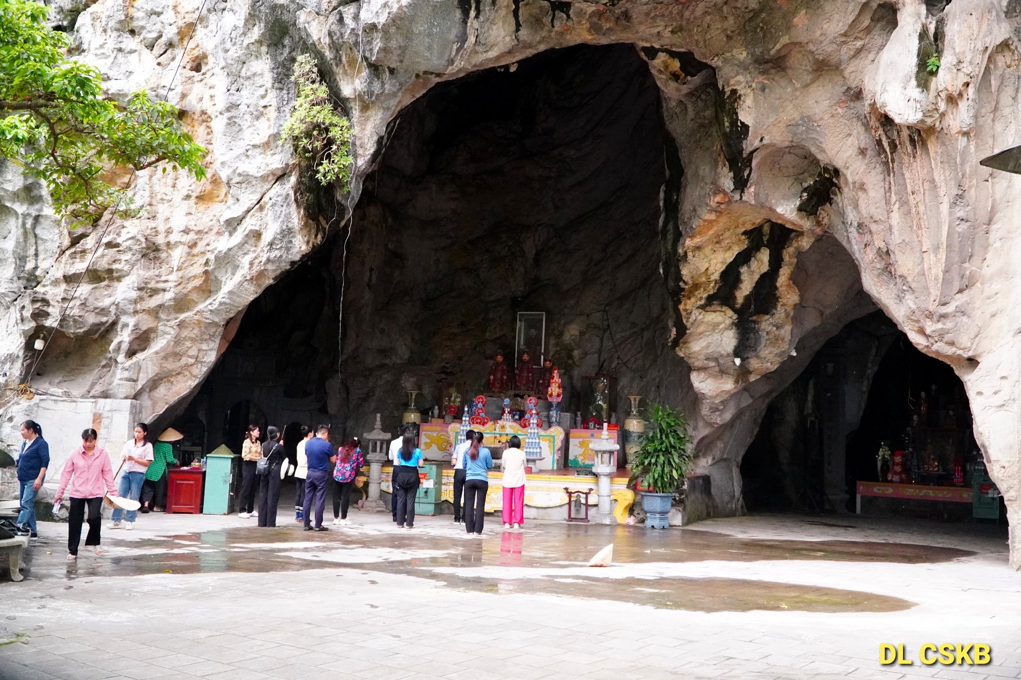 539561995 1318680443388961 2294513347823358399 n