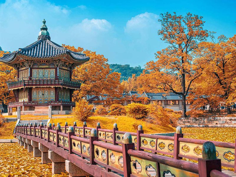 532102573 4221998551354779 3988192820495971890 n