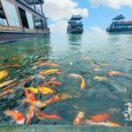 487239200 3793796770837469 1002050043709072347 n